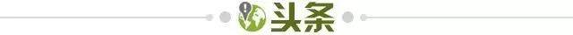 1744674072250027551.jpg 头条.jpg